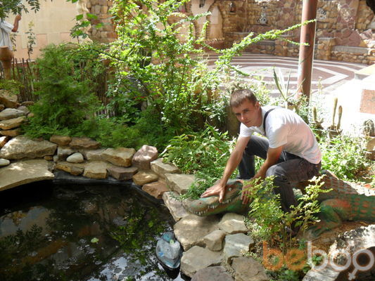 ���������� ���������, ���� ������� ����, 36 ���, ������������ ��� ������, ����� � ���������, c�������� ���������