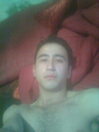  -,   Sultan, 33 ,   ,   , c , 