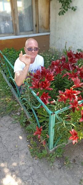  ,   , 55 ,   ,   , c , 