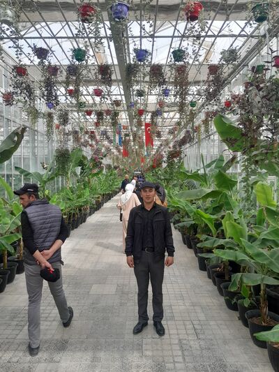  ,   Dilmurod, 24 ,   ,   