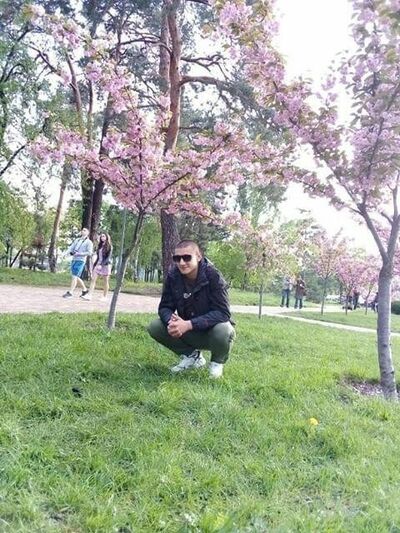  ,   , 29 ,   