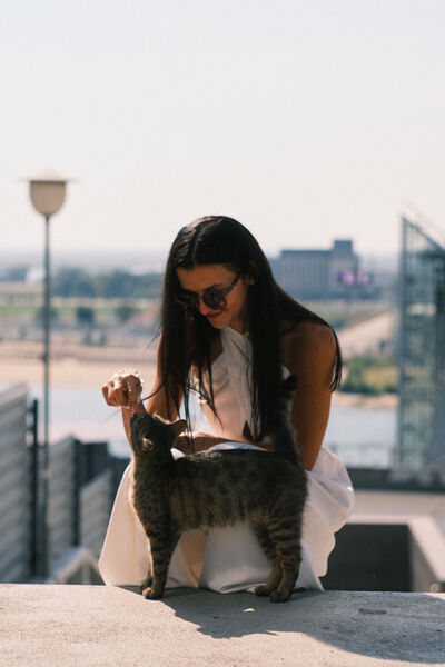  --,   , 38 ,   ,   