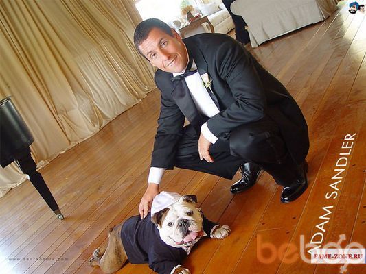  ,   BiBARS, 40 ,   