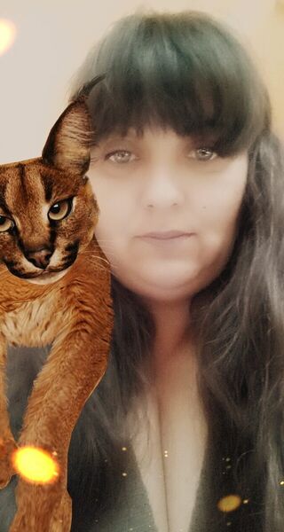  ,   , 44 ,   ,   
