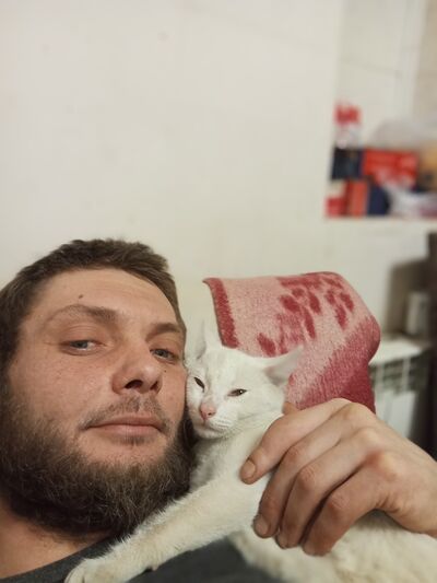  -,   Nikolay, 33 ,   ,   , c , 