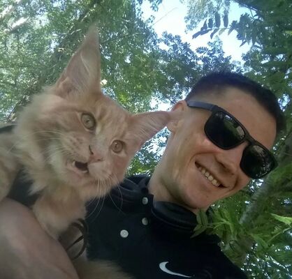  ,   , 38 ,   ,   , c , 