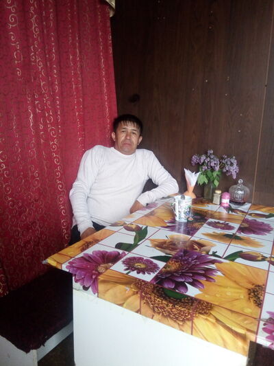  ,   Jek borovoe, 45 ,   ,   , c 