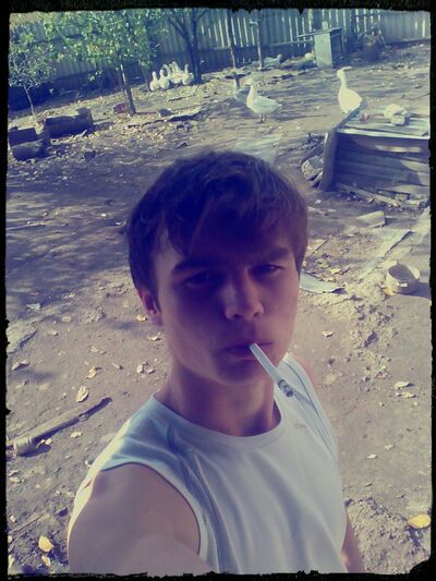  ,   Dimsons, 29 ,   