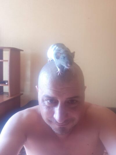  ,   , 40 ,   ,   , c 