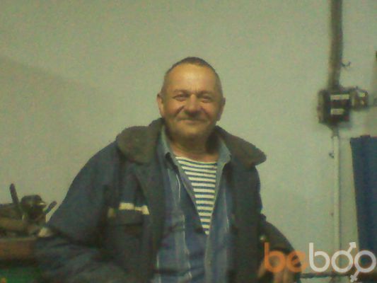  ,   Cani, 51 ,   