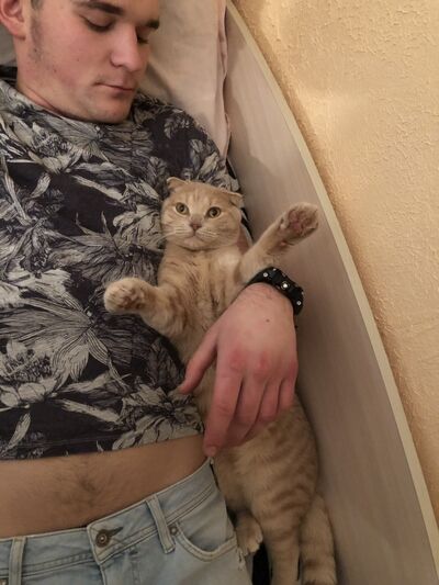  ,   , 27 ,  