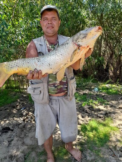  ,   Vladimir, 42 ,   ,   