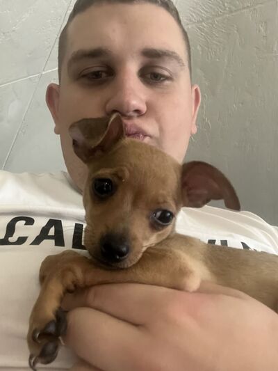  ,   , 23 ,   ,   , c 