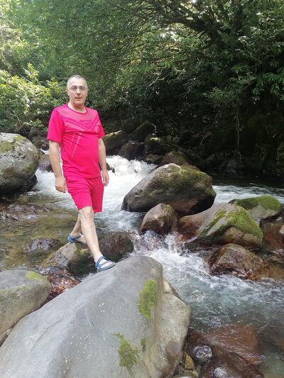  ,   Zorro, 38 ,   ,   