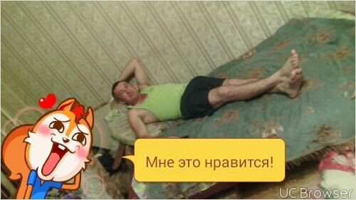  ,   , 46 ,   