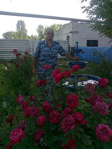  -,   , 54 ,   ,   , c 