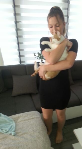  ,   , 21 ,   ,   , c 