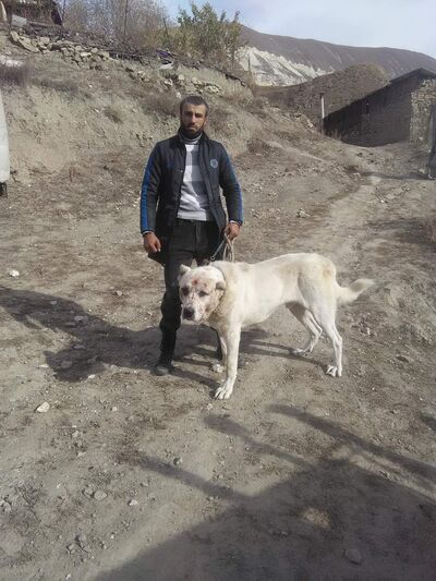  ,   , 33 ,     , c , 