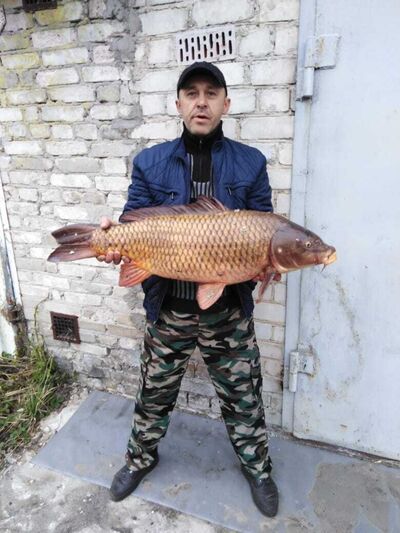  ,   , 48 ,   ,   