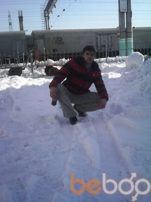  3798368  , 36 ,    