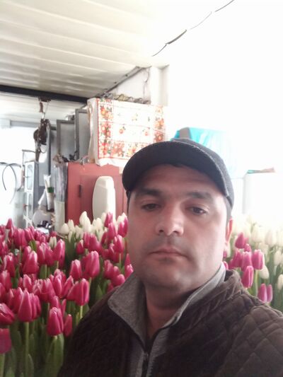  ,   Umrzok, 37 ,   ,   