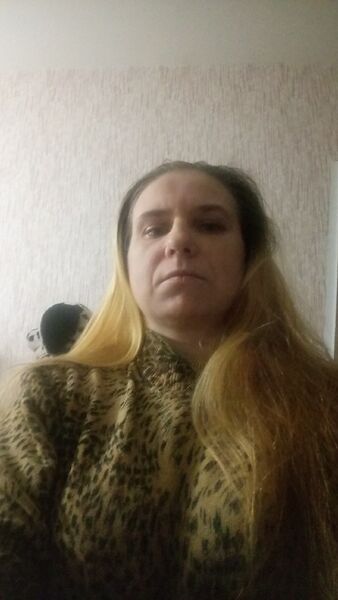  -,   , 41 ,   ,   , c 