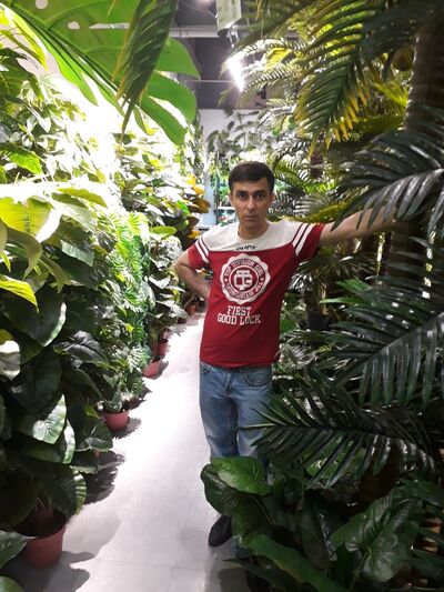  ,   , 44 ,   ,   , c 