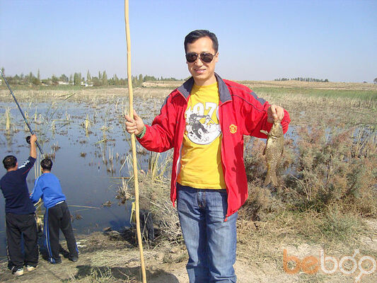  ,   Behi, 52 ,   ,   , c 