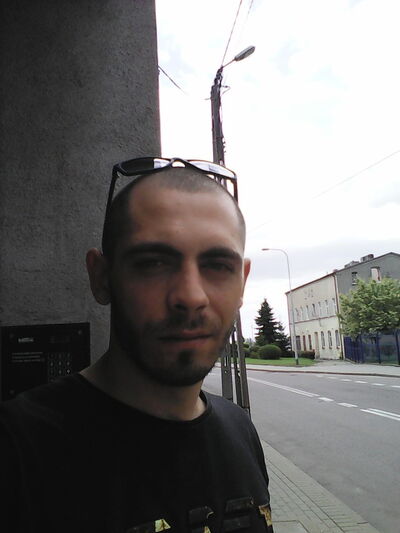  Tczew,   Black fox, 31 ,     , c 