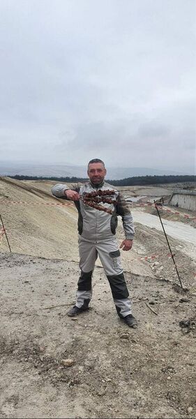  ,   Boris, 43 ,   ,   , c 