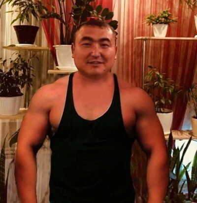  ,   , 43 ,   ,   