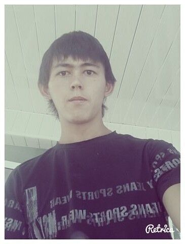  ,   Taxa, 29 ,     , c 