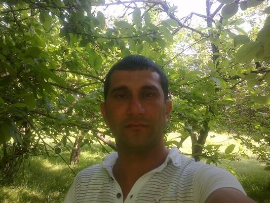  ,   Telman, 46 ,   ,   , c 