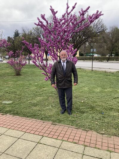  ,   Bayram, 65 ,   ,   , c 
