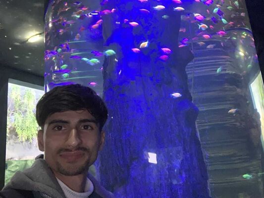 ,   , 25 ,   c 