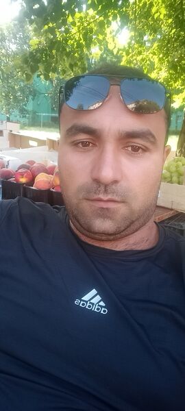  ,   Timur, 33 ,   ,   