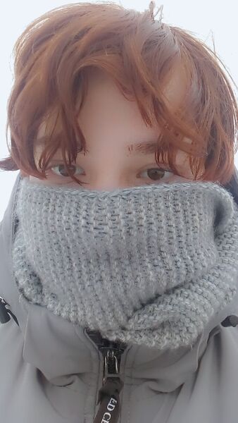  ,   , 22 ,     