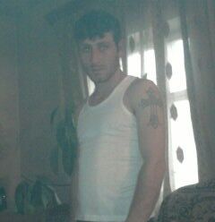  ,   HOVO, 40 ,   ,   , c 