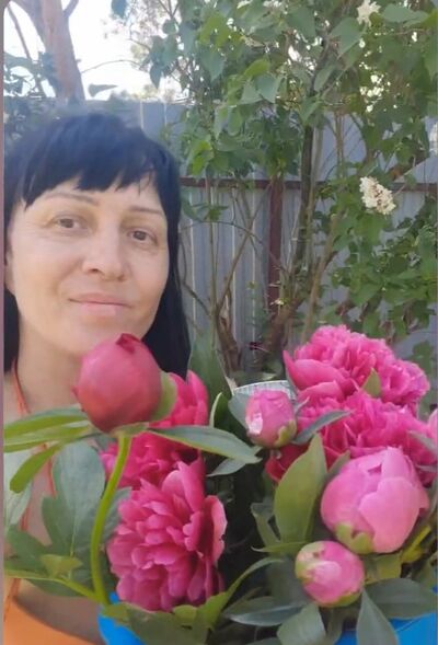  ,   , 44 ,   ,   