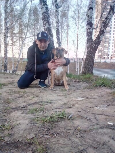 ,   , 46 ,   ,   , c , 