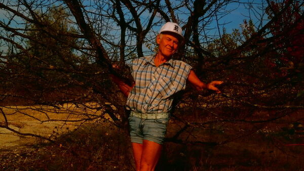  ,   Vasilii, 64 ,     , c 