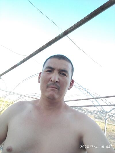  -,   , 40 ,  