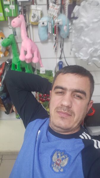  ,    , 41 ,   ,   