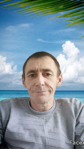  ,   ϸ, 51 ,   ,   , c , 