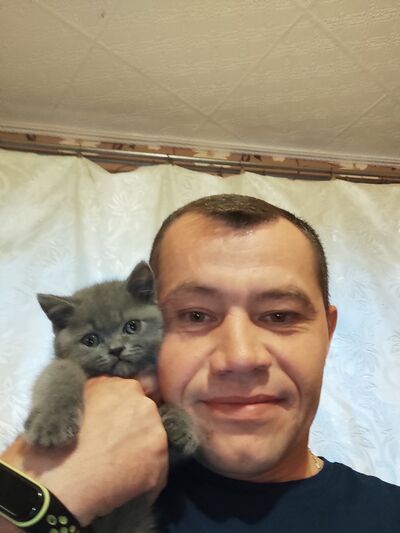  ,   , 44 ,   , 