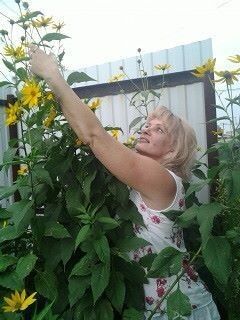  ,   , 56 ,  