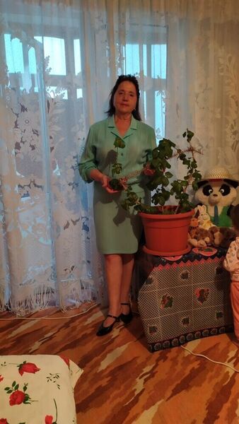  ,   Cristina, 68 ,   ,   , c 