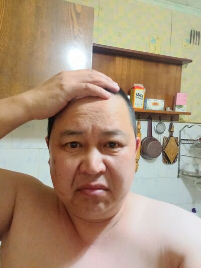  -,   , 44 ,   ,   