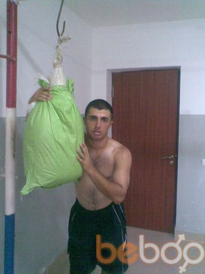  ,   Black wolf, 33 ,   ,   , c 