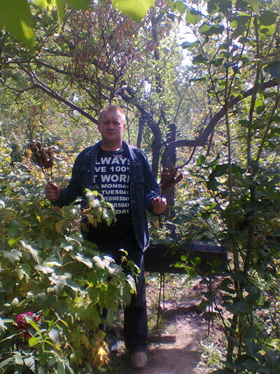  ,   , 53 ,  
